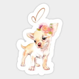 Baby Girl Chihuahua Puppy Sticker